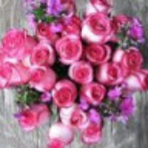 Meet your Posher, Trisha